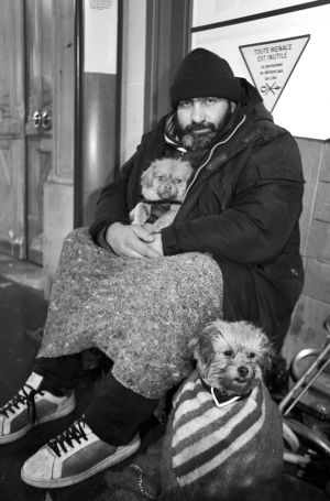 living on the street paris dog sm.jpg
